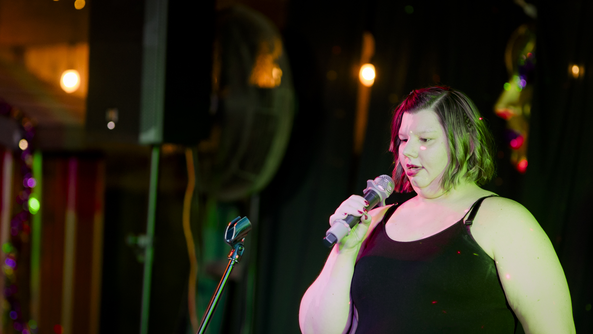 Songbird Karaoke show photo