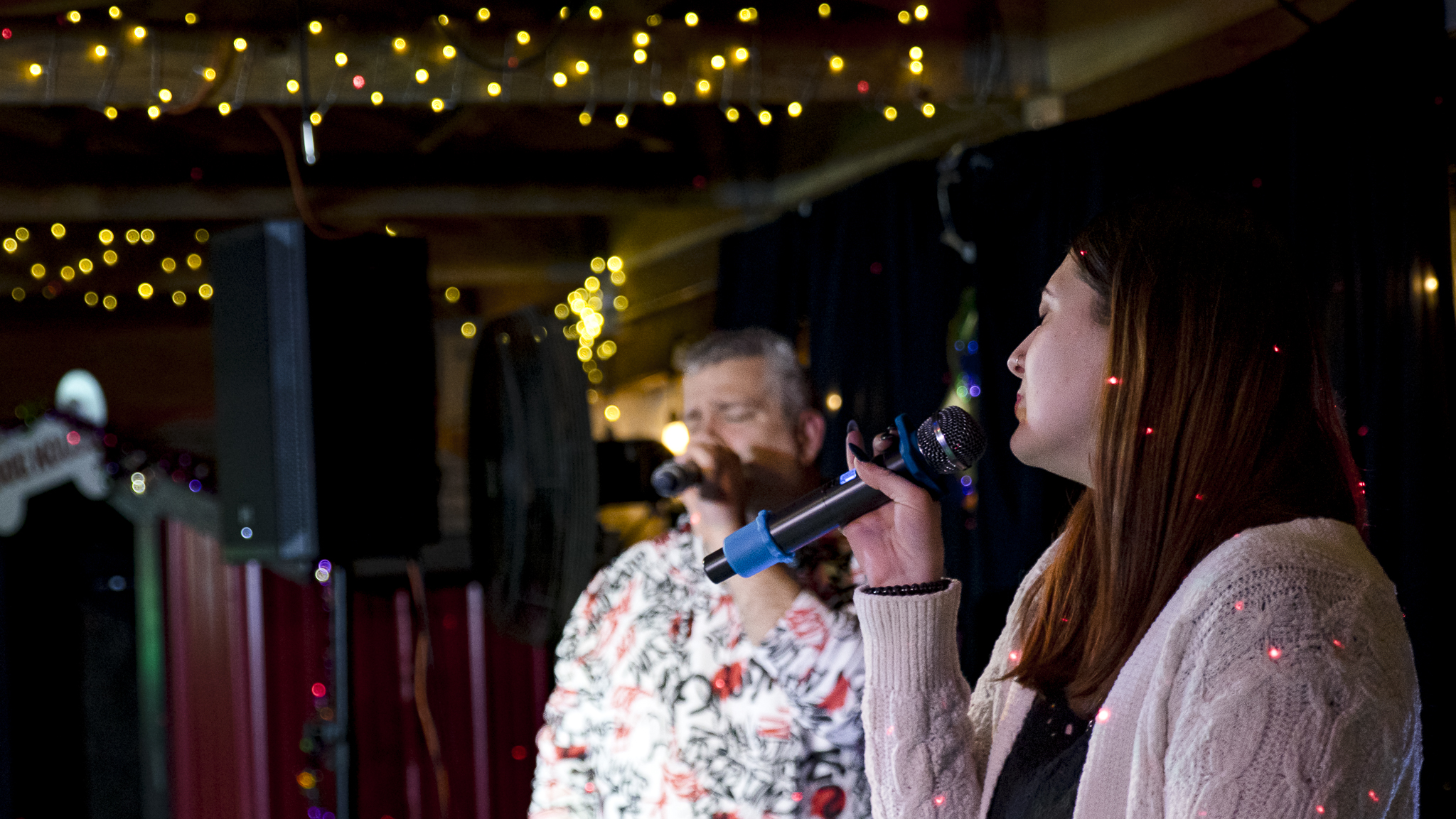 Songbird Karaoke show photo