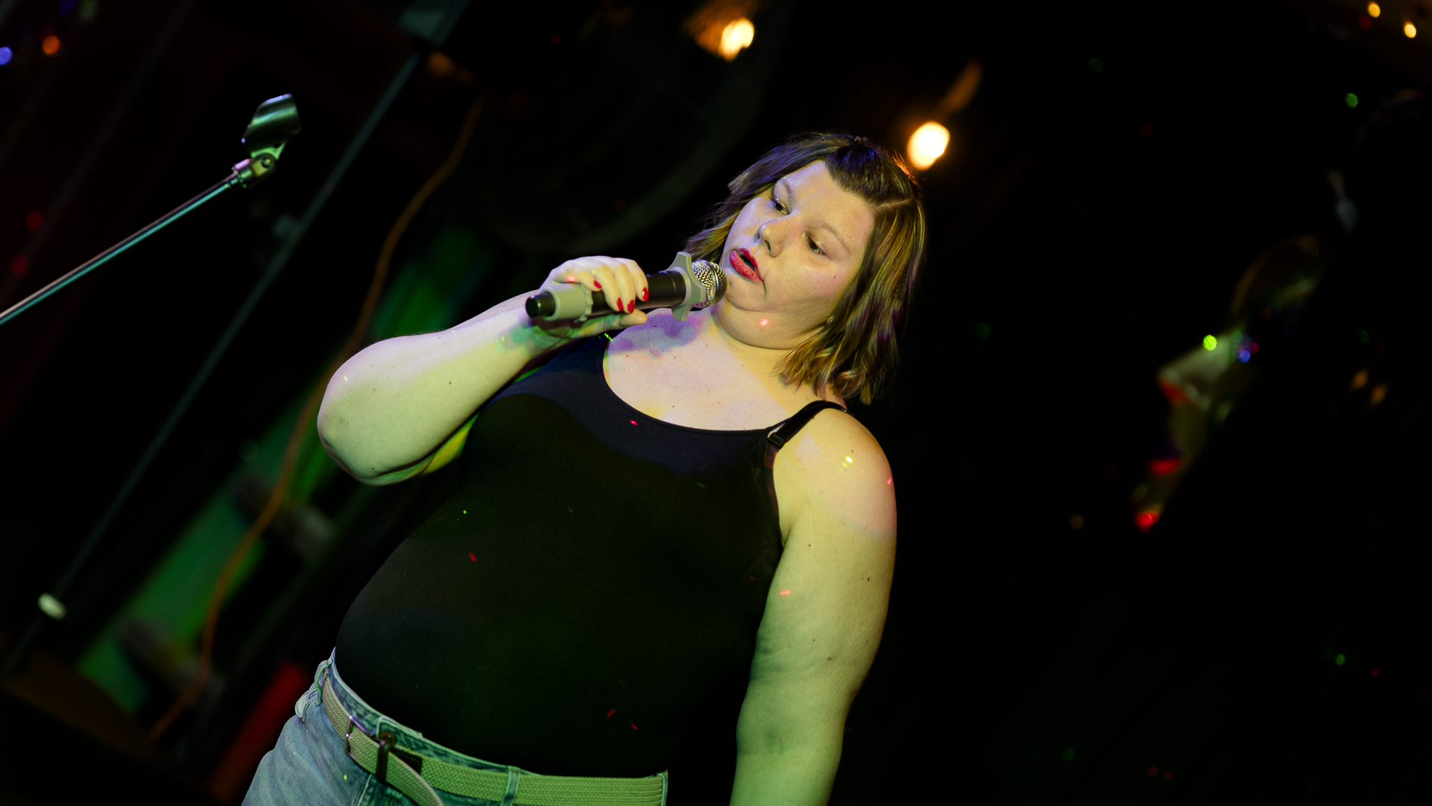 Songbird Karaoke show photo