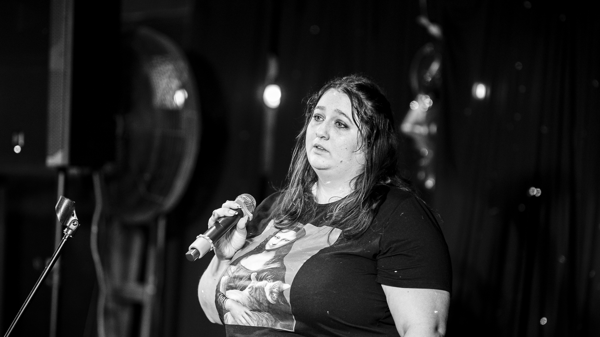Songbird Karaoke show photo