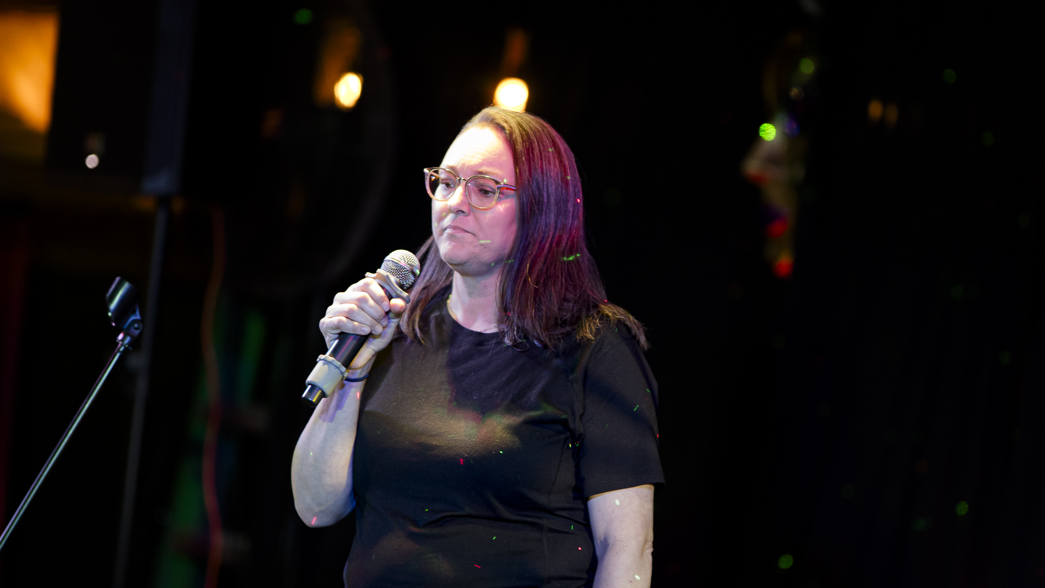 Songbird Karaoke show photo